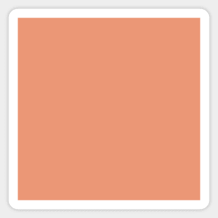 Designer Color of the Day - Shell Coral Peach Orange Solid Color Sticker